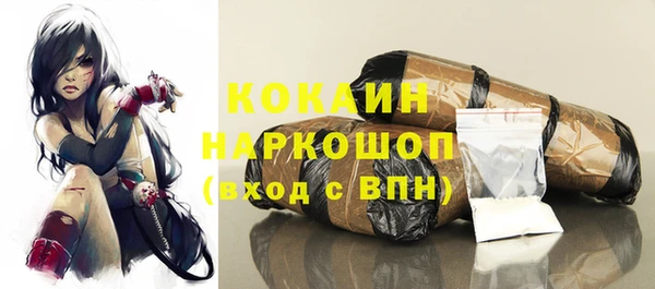 молекула духа Осинники