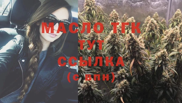 молекула духа Осинники
