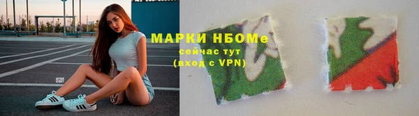 прущие грибы Пересвет