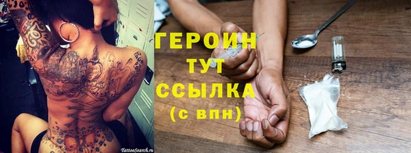 прущие грибы Пересвет
